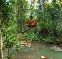 The Canopy Rainforest Treehouses and Wildlife Sanctuary - Accommodation QLD