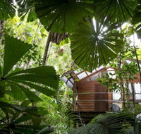 Daintree Wilderness Lodge - Accommodation QLD