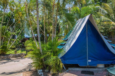 Tasman Holiday Parks - Airlie Beach - Accommodation QLD 5