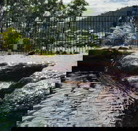 Colonial Palms Motor Inn - Accommodation QLD