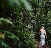 Daintree Ecolodge - Accommodation QLD