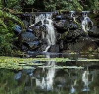 Kondalilla Eco Resort - Accommodation QLD