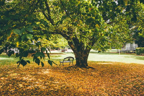 Federation Gardens & Possums Hideaway - Accommodation QLD 6