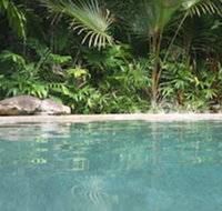 Daintree Rainforest Retreat - Accommodation QLD