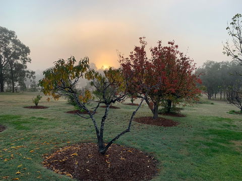 Woolshed Hill Estate - Accommodation QLD 6