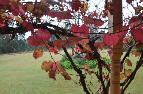 Woolshed Hill Estate - Accommodation QLD 1