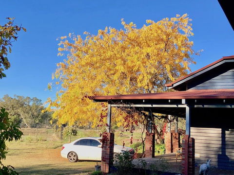 Acheron Valley Country Estate - Accommodation QLD 3