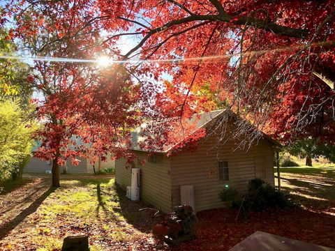 Acheron Valley Country Estate - Accommodation QLD 5