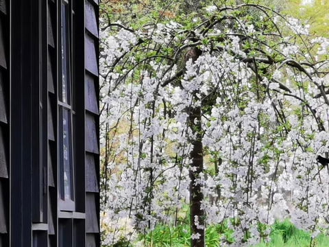 Acheron Valley Country Estate - Accommodation QLD 1