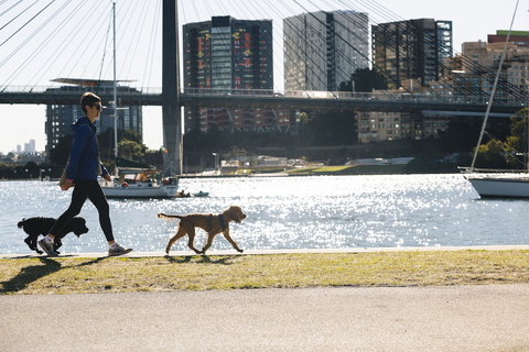 Haven Glebe - Accommodation QLD 0