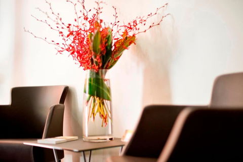 Adelaide Paringa - Accommodation QLD 2