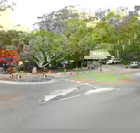 Mantra French Quarter Noosa - Accommodation QLD