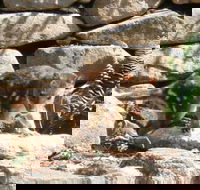Jenolan Caves House - Accommodation QLD