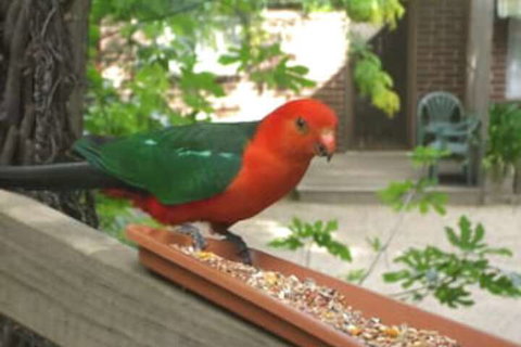 Restaway Holiday Units - Accommodation QLD 1