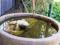 Hope Cottage Country Retreat - Accommodation QLD 4
