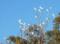 Hope Cottage Country Retreat - Accommodation QLD 1