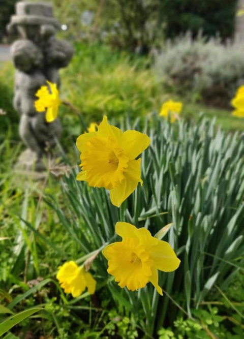 Lilacs Waterfront Villas & Cottages - Accommodation QLD 2