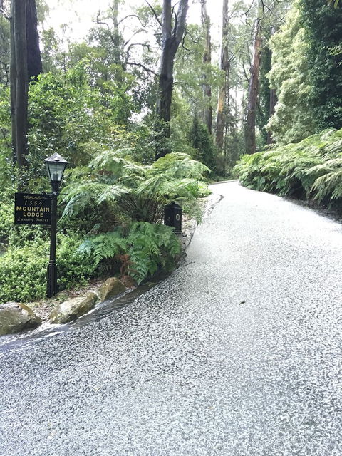 Mountain Lodge - Accommodation QLD 0