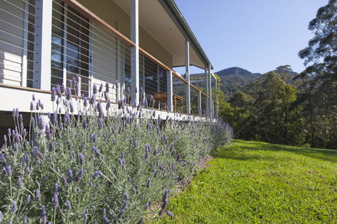 Wilderberry Cottage - Accommodation QLD 4