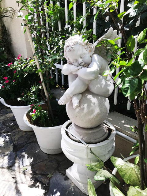 Cairns Motor Inn - Accommodation QLD 2