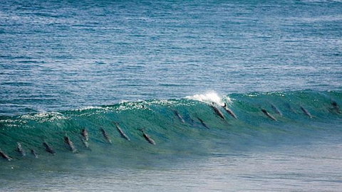 Neptune At Port Elliot - Accommodation QLD 2
