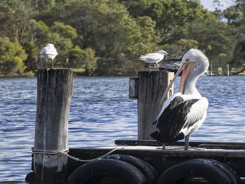 Mandurah Riverfront Holiday Rental - Accommodation QLD 4