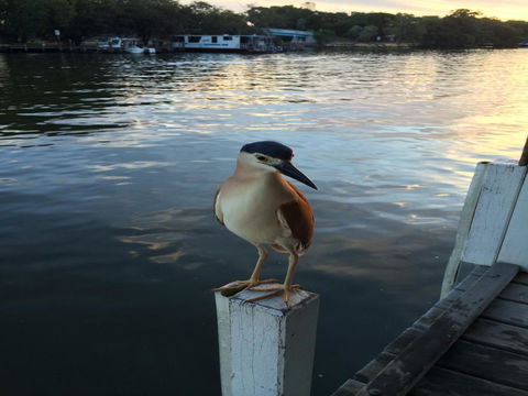 Mandurah Riverfront Holiday Rental - Accommodation QLD 1