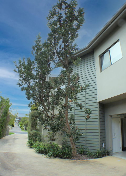 Rolling Waves 1 - Accommodation QLD 0