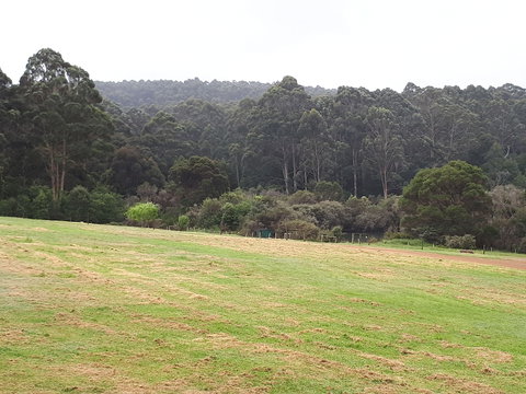 Walpole Wilderness Resort - Accommodation QLD 4