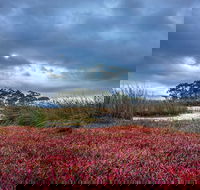 Saintys Creek Cottage - Accommodation QLD