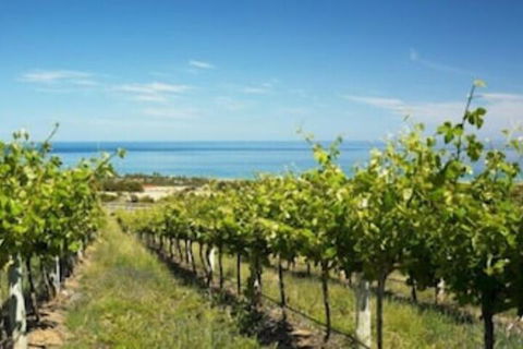 McLaren Vale Backpackers - Accommodation QLD 6