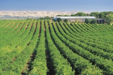 McLaren Vale Backpackers - Accommodation QLD 4