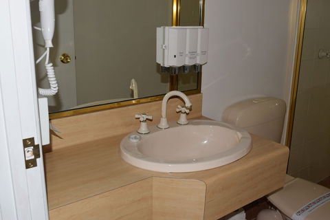 Warwick Vines Motel - Accommodation QLD 2