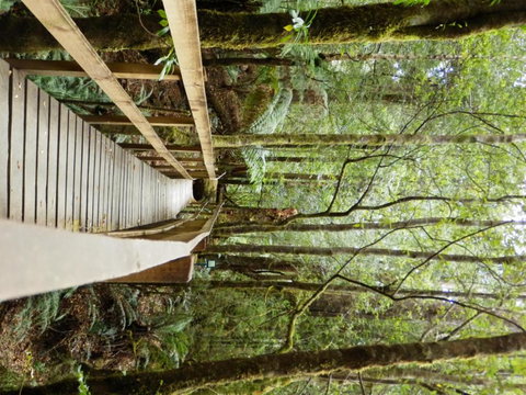 Tahune Air Walk Lodge - Accommodation QLD 4