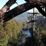 Tahune Air Walk Lodge - Accommodation QLD 0