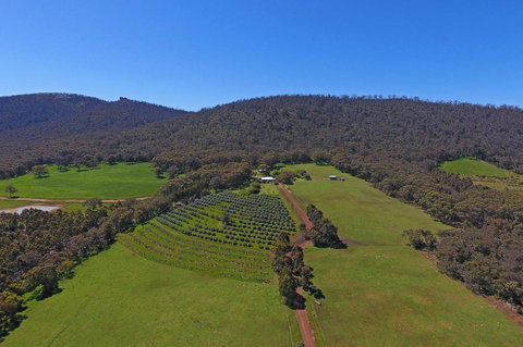 Jilba - Accommodation QLD 4