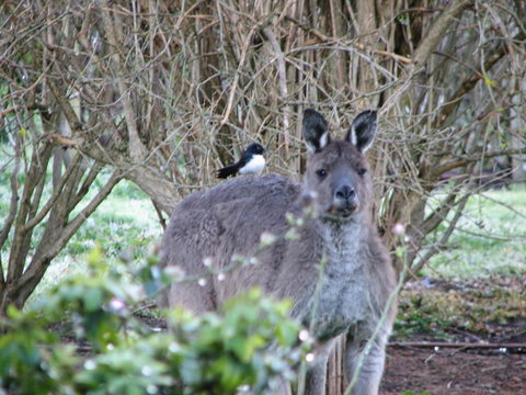 Jilba - Accommodation QLD 2