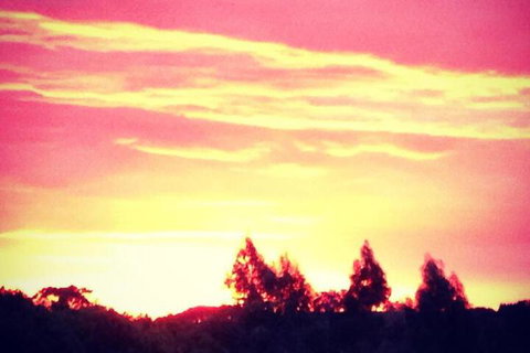 Black Duck Farm - Accommodation QLD 4