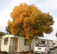 Wodonga Caravan  Cabin Park - Accommodation QLD