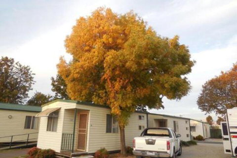 Wodonga Caravan & Cabin Park - Accommodation QLD 0