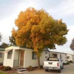 Wodonga Caravan & Cabin Park - Accommodation QLD 1