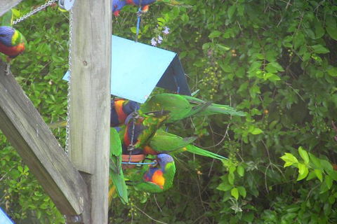 A Lakehouse Escape - Accommodation QLD 4