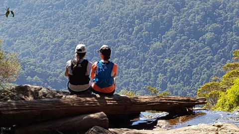 Buddha Cottage Springbrook - Accommodation QLD 3