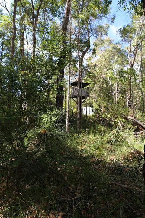 Nannup Bush Retreat - Accommodation QLD 2