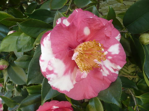 Getaway Inn Boutique Guest House - Accommodation QLD 2