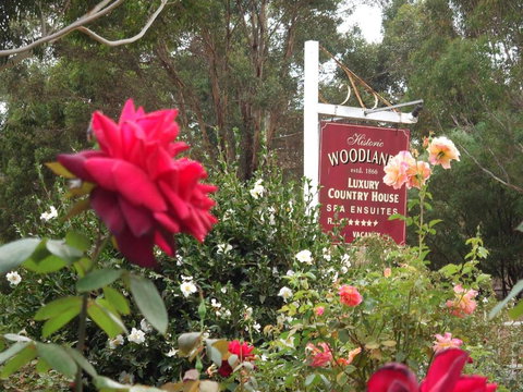 Woodlands Of Bridgetown B & B - Accommodation QLD 5