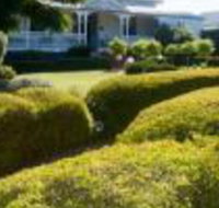 Whiskey Gully Wines - Accommodation QLD