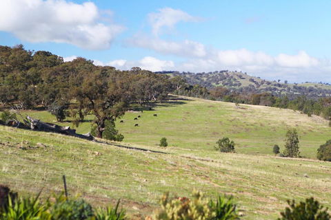 Longview Holiday Let - Accommodation QLD 3