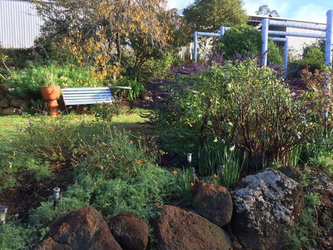 Chestnut Brae Farmstay - Accommodation QLD 4