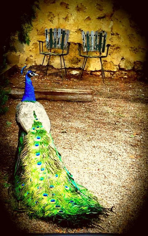 A La Folly - Accommodation QLD 4